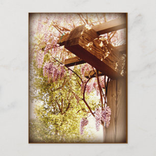 Wisteria Urbane Vykort