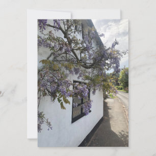 Wisteria växer mot en vit beläggning julkort