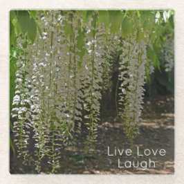 Wisteria White Garden Flowers Live Kärlek Laugh