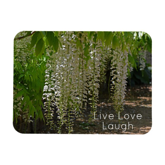 Wisteria White Garden Flowers Live Kärlek Laugh Magnet (Horisontell)