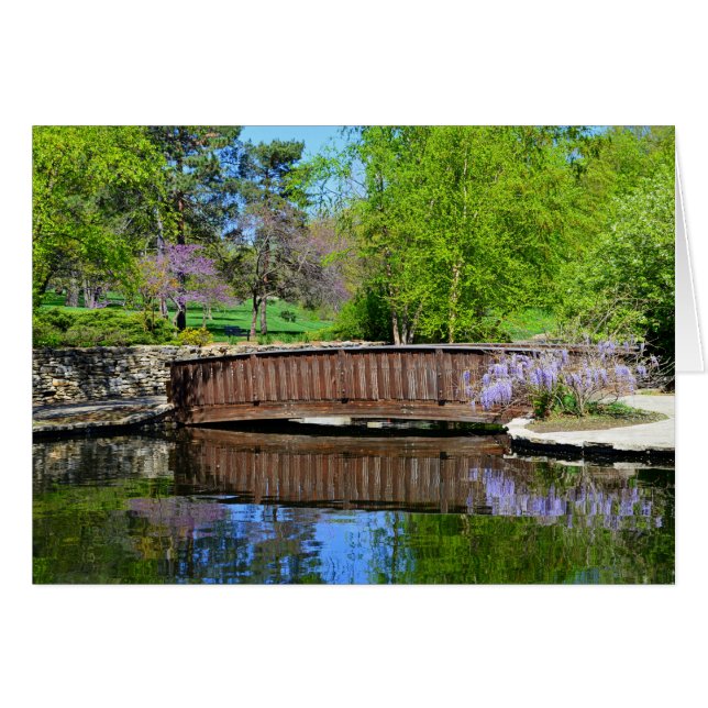 Wisteriaen i blom i löst parkerar, Kansas City Hälsningskort (Framsidan Horizontal)