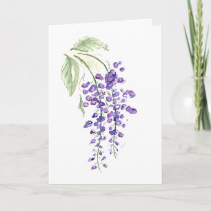Wisteriakort Kort