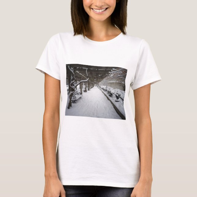 WisteriaPergola i vinter, Central Park, NYC T-shirt (Framsida)