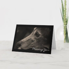 Wistful Greyhound Kärlek Anpassade Kort