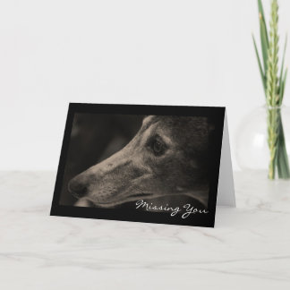 Wistful Greyhound Kärlek Anpassade Kort