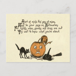 Witch Black Cat Jack o lantern Dikt Vykort