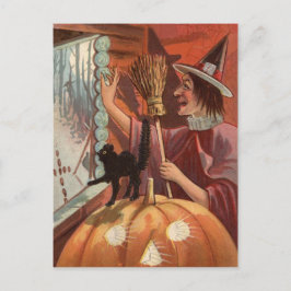 Witch Black Cat Jack o lantern Pumpkin Vykort