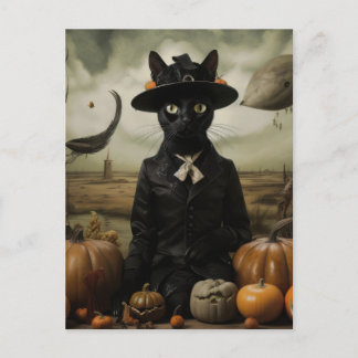 Witch Cat with Pumpkins  Vykort