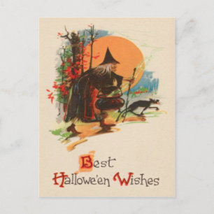 Witch Cauldron Black Cat Full Moon Vykort