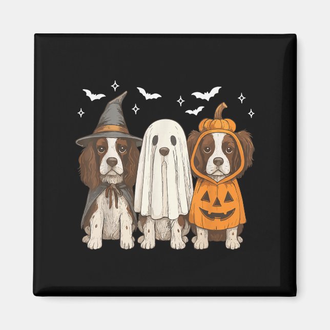 Witch English Springer Spain Halloween Springer Magnet (Framsidan)