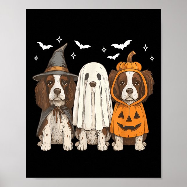 Witch English Springer Spain Halloween Springer Poster (Framsidan)
