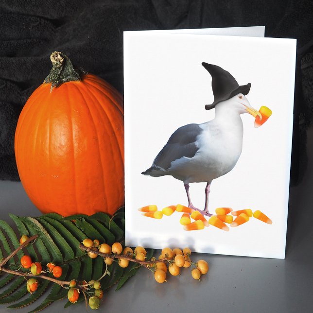 Witch Fiskmås Halloween-kort Kort (Skapare uppladdad)