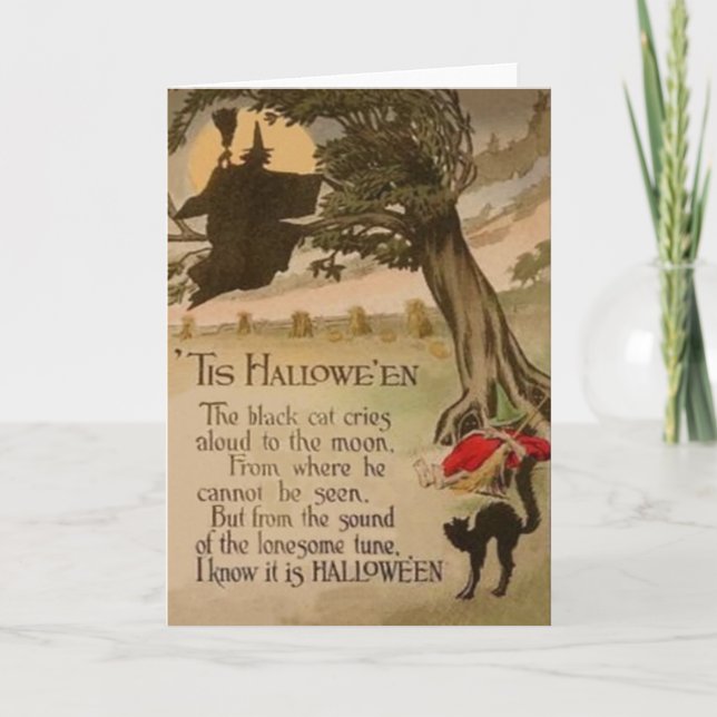 Witch Full Moon Pumpkin Black Cat Kort (Framsida)