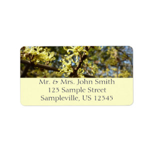 Witch Hazel Flowers Adressetikett