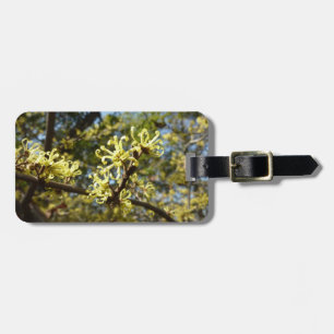 Witch Hazel Flowers Bagagebricka