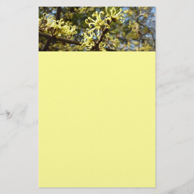 Witch Hazel Flowers Brevpapper (Framsida)