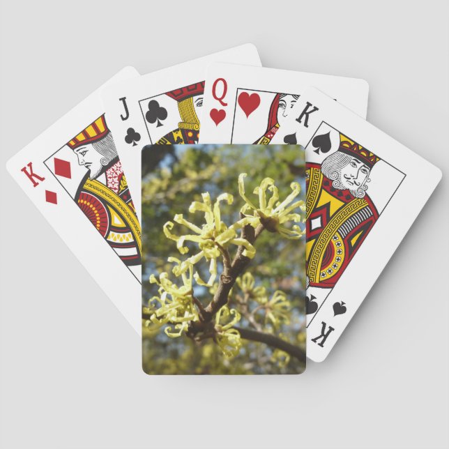 Witch Hazel Flowers Casinokort (Baksidan)