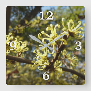 Witch Hazel Flowers Fyrkantig Klocka