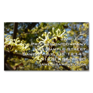 Witch Hazel Flowers Magnetiska Visitkort