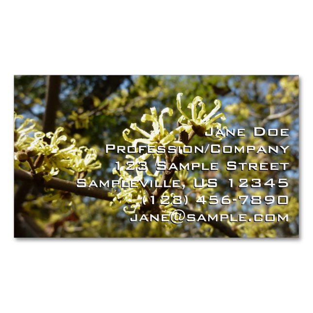 Witch Hazel Flowers Magnetiska Visitkort (Framsida)