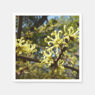 Witch Hazel Flowers Pappersservett