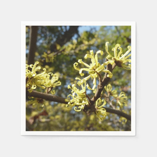 Witch Hazel Flowers Pappersservett (Framsidan)