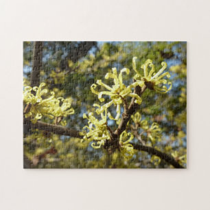 Witch Hazel Flowers Pussel