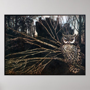 Witch i Uggla-form Poster