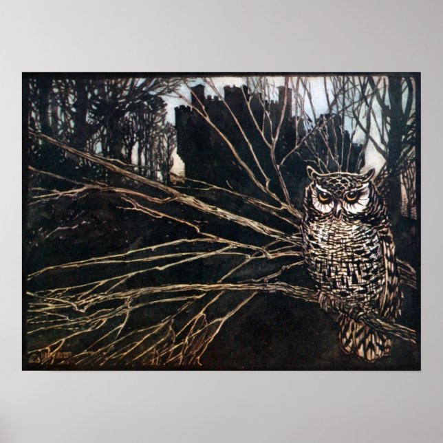 Witch i Uggla-form Poster (Framsidan)