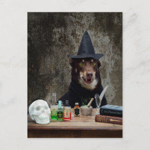 Witch Vykort