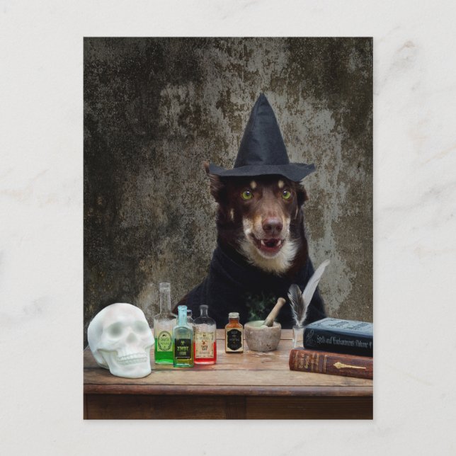 Witch Vykort (Framsida)