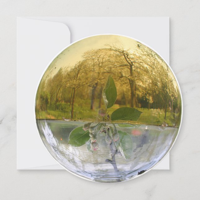 Witchy Flower Essence Dew - tackkort Tack Kort (Framsida)