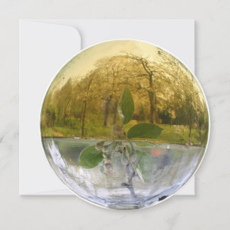 Witchy Flower Essence Dew - tackkort Tack Kort