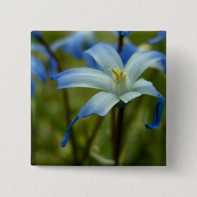 witherly knapp (Framsida)