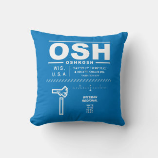 Wittman Regional Airport OSH Kudde