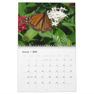 WKS BILDER-kalender Kalender