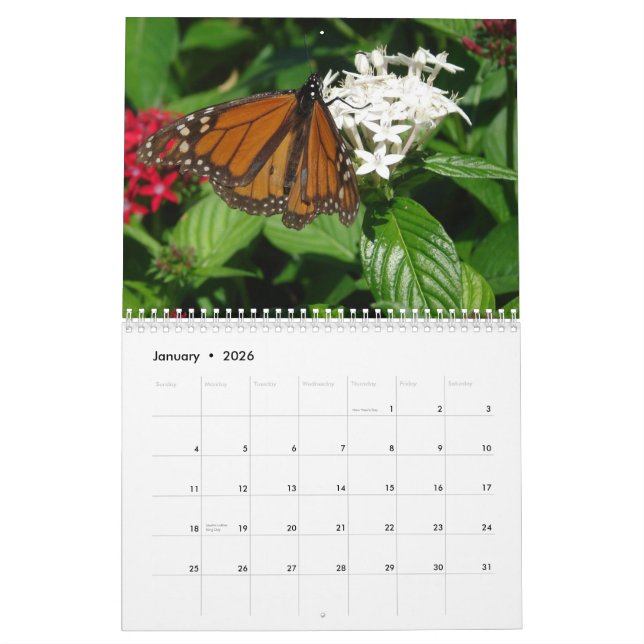 WKS BILDER-kalender Kalender (Jan 2026)