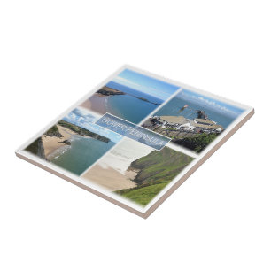 WLS004 GOWER Peninsula Mumbles, Wales, Kakelplatta