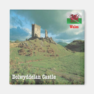 WLS015 DOLWYDDELAN CASTLE, Wales, Europa, Fridge Magnet