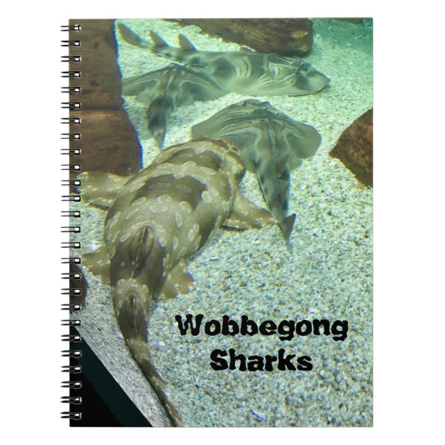 Wobbegong Sharks Anteckningsbok (Framsidan)