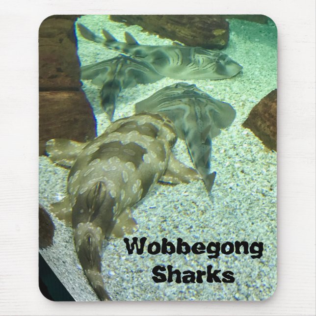 Wobbegong Sharks Musmatta (Framsidan)