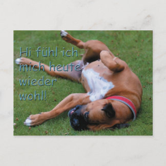 Wohlfühlboxer Vykort