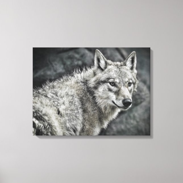 WOLF：Canvas Print Canvastryck (Framsida)