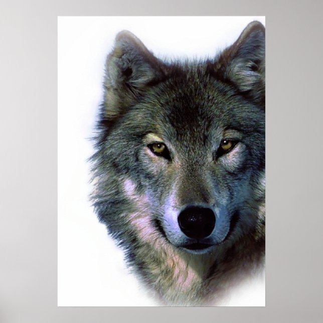 Wolf Eyes Artwork Freedom Poster (Framsidan)