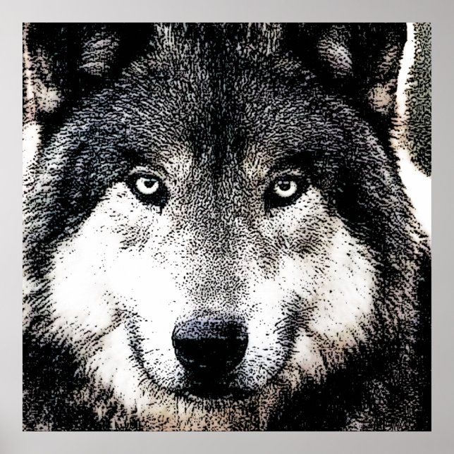Wolf Eyes - Svart & Vitt Vilda Djur Konstverk Poster (Framsidan)