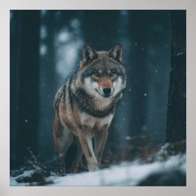 Wolf in Winter Poster (Framsidan)