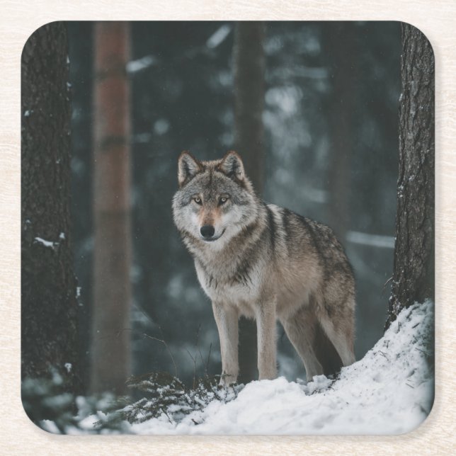 Wolf in Winter Underlägg Papper Kvadrat (Framsidan)