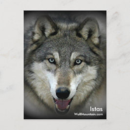 Wolf Mountain Sanctuary - Istas vykort
