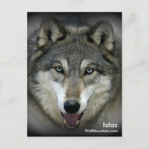 Wolf Mountain Sanctuary - Istas vykort