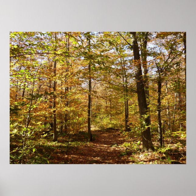 Wolf Rocks Trail på hösten Pennsylvanias landskap Poster (Framsidan)
